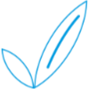 Logo Projekt MehrWertKonsum