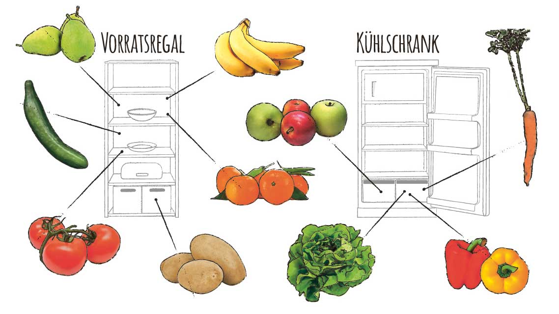 Übersicht Lagerungsorte von Obst und Gemüse