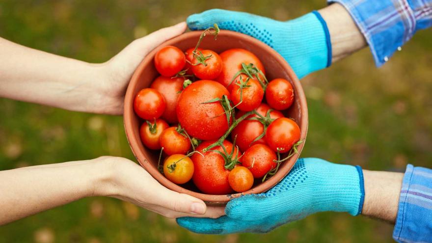 Eine Schale mit Tomaten wird überreicht. 