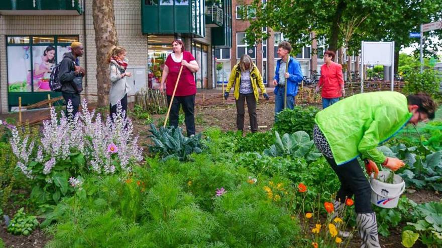 Eine Gruppe arbeitet im Garten