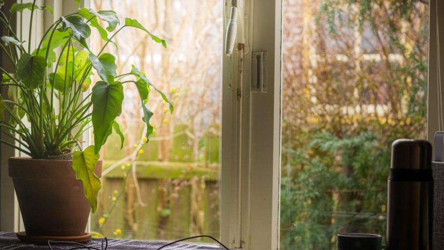 Blick auf ein Zimmerfenster, vor dem Fenster steht ein Schreibtisch mit einer Zimmerpflanze und einer Thermoskanne drauf