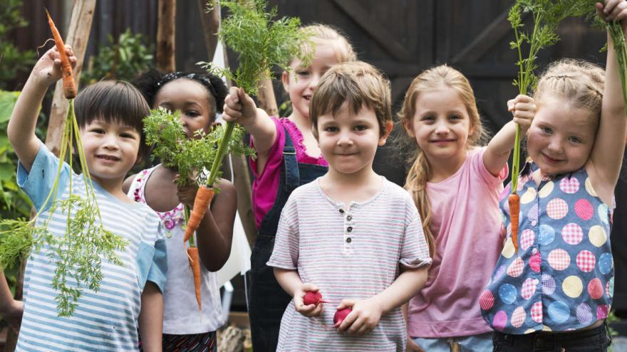 Kinder halten Möhren hoch