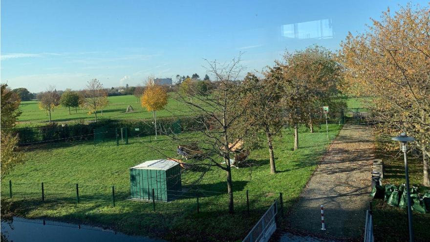 Campusgarten an der Hochschule Bonn-Rhein-Sieg