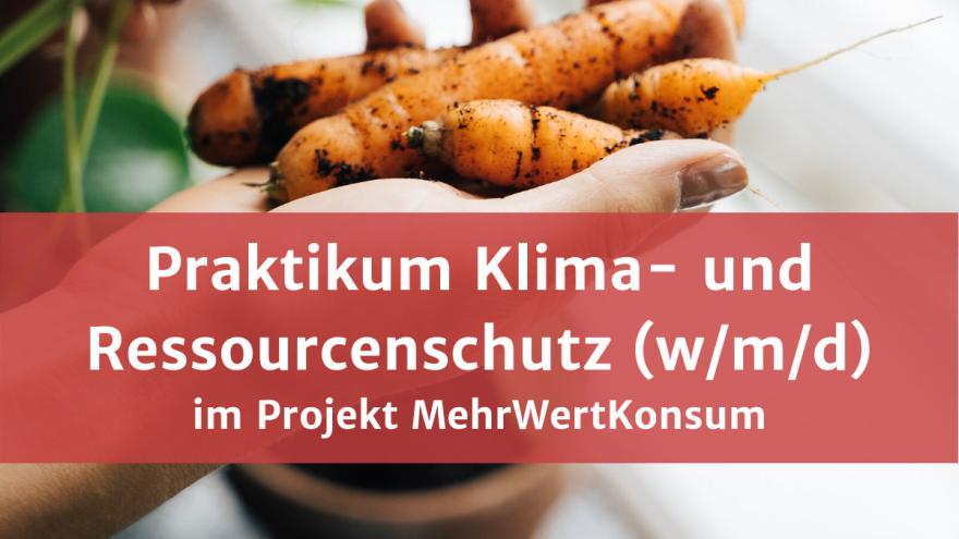 Praktikum Klima- und Ressourcenschutz im Projekt MehrWertKonsum