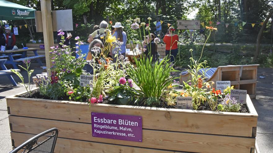 Das Bild zeigt einen bepflanztes Hochbeet mit verschiedenen bunten Blumen und Kräutern. Auf einem Schild steht "Essbare Blüten".