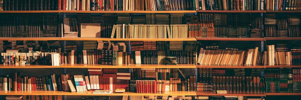Bücherregal