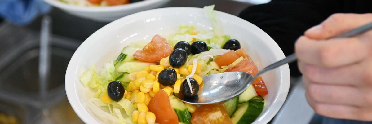 Zwei Teller mit Salat 
