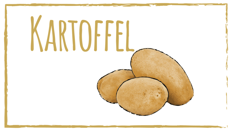 Zeichnung: Kartoffel