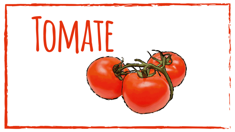 Zeichnung: Tomate