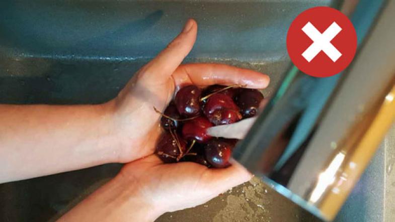 Kirschen werden gewaschen