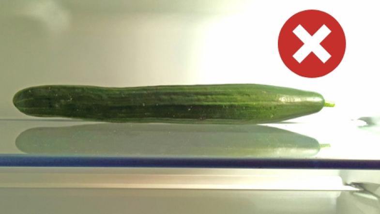 Eine Gurke liegt im Kühlschrank