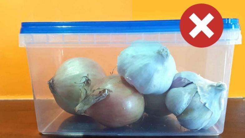 Knoblauch und Zwiebeln in einer Aufbewahrungsbox
