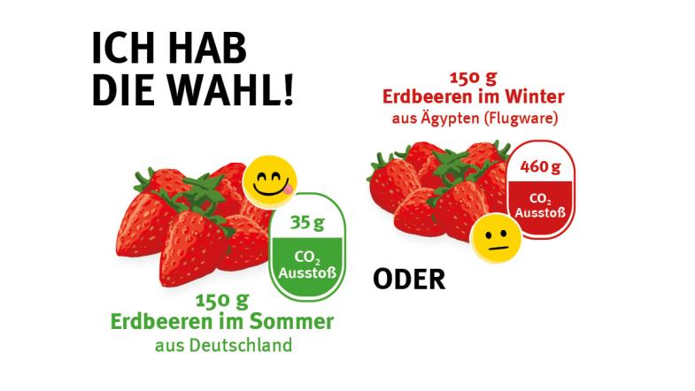 Erdbeeren, mit der dazgugeörigen Angabe des CO2-Ausstoßes im Winter und im Sommer