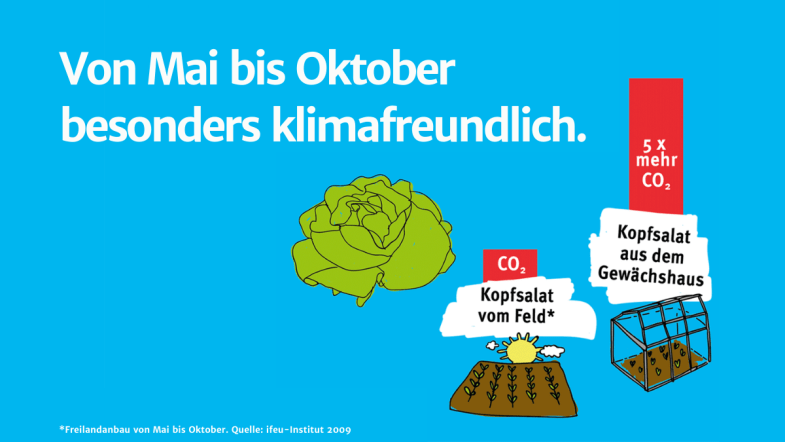 Infografik mit den verursachten CO2-Emissionen von Kopfsalat während und außerhalb der Saison.