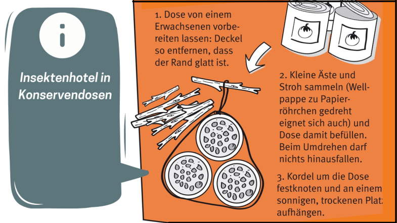 Infografik. Anleitung Insektenhotel